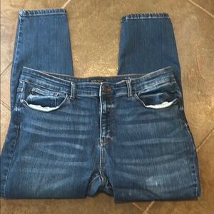 Judy Blue Women's Skinny Jeans - Dark Blue